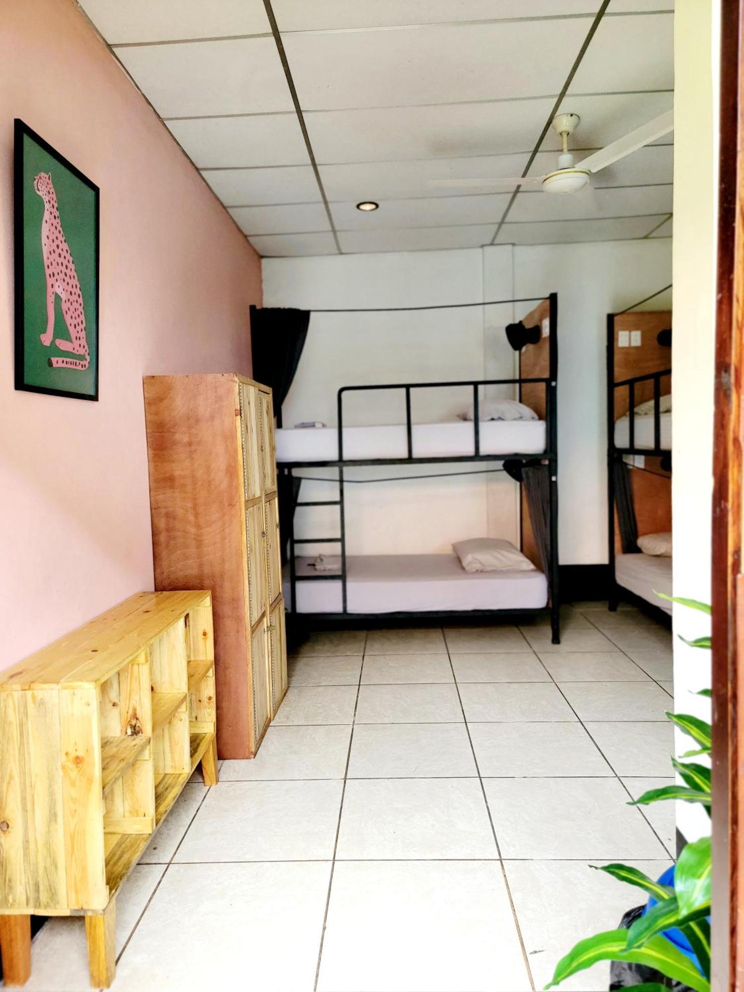 Poco A Poco Hostel León Zewnętrze zdjęcie